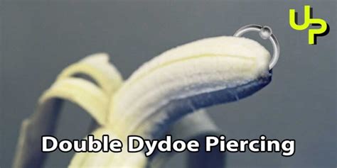 dydoe piercing cost|Double Dydoe Piercing: All You Need to Know About。